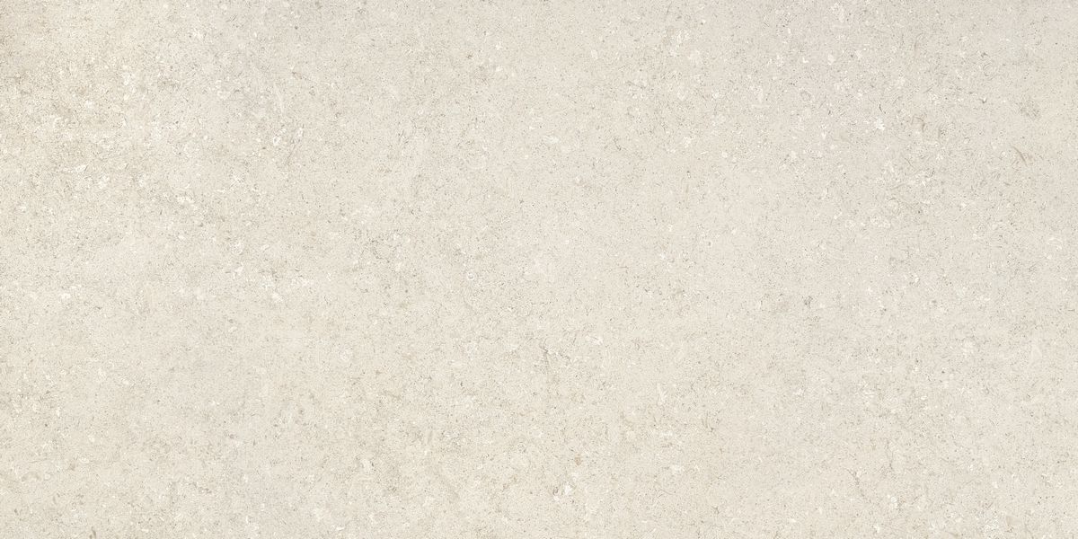 Декорация Венти Машрум Матовая керамогранит 60x120