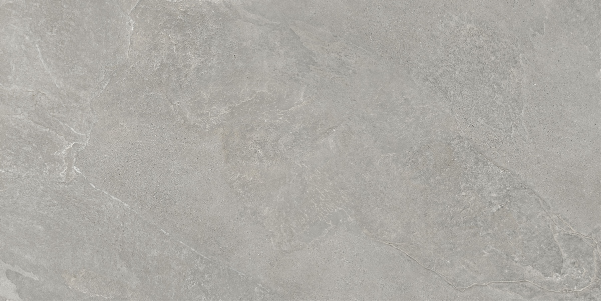 Ardestone Серый Матовый керамогранит 60x120см