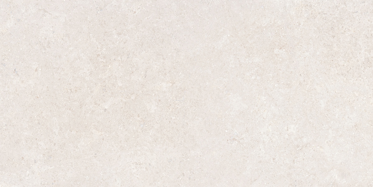 Sandstone Белый Матовый керамогранит 60x120см