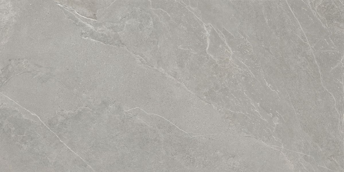 Ardestone Серый Матовый керамогранит 60x120см