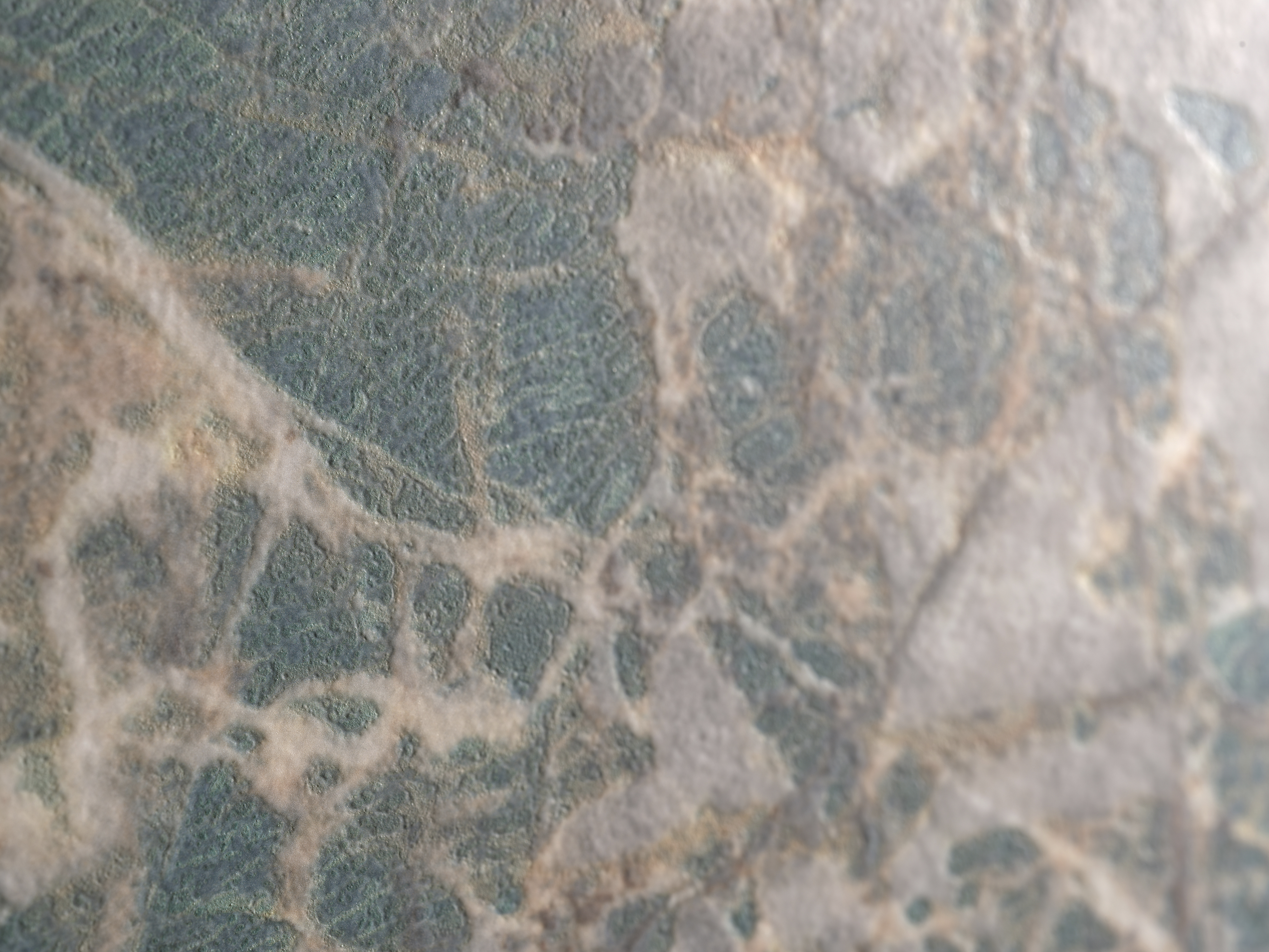 AMAZONITE TEXTURE керамогранит (6mm) 160x320 cm
