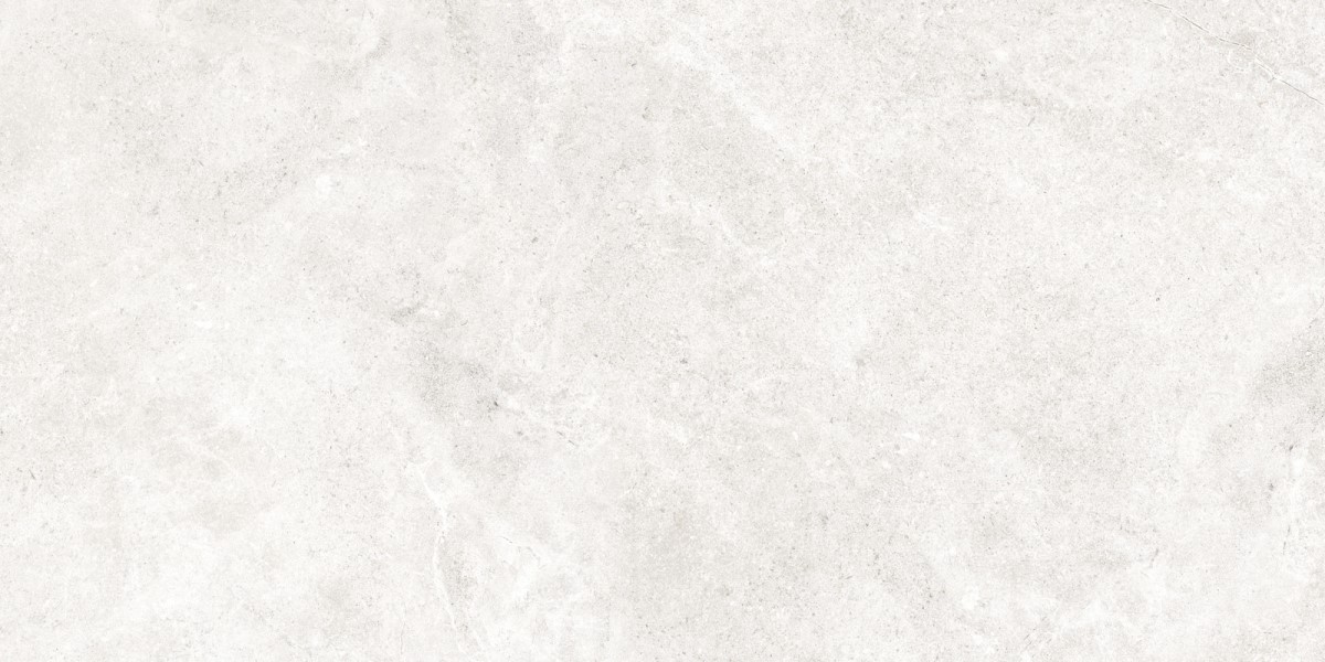 COLORKER LIBERTY MOON керамогранит 59.5х119.2