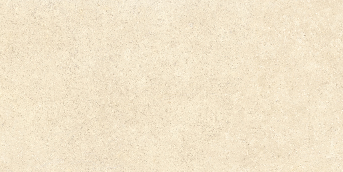 Sandstone Песочный Матовый керамогранит 60x120см