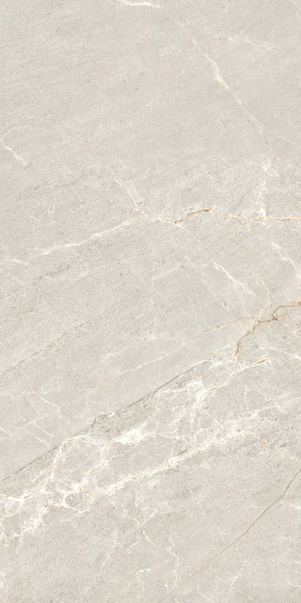 Persian Grey Matt керамогранит 60x120