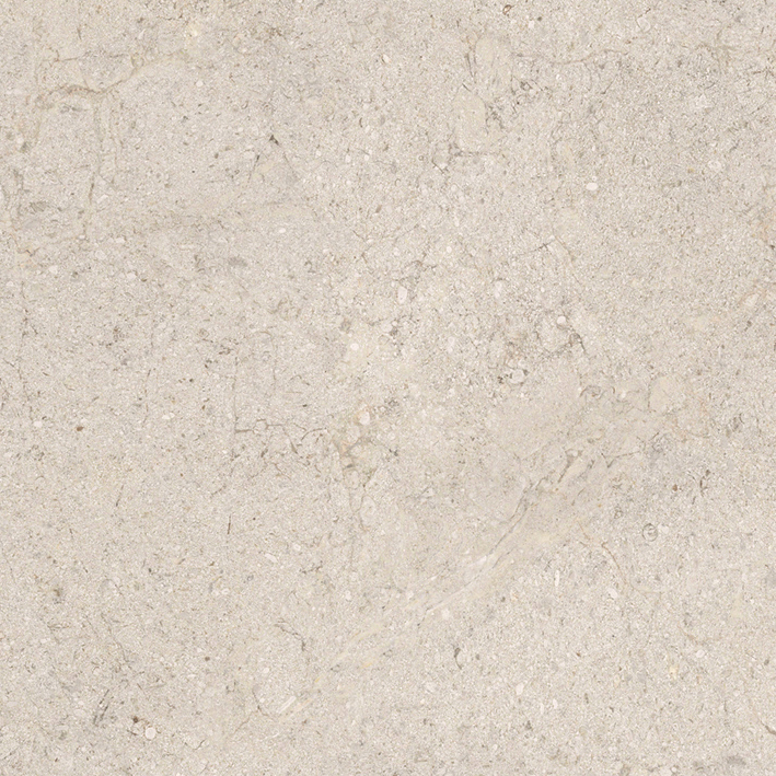 DORCIA BONE C-2(R10) керамогранит 59,6х120