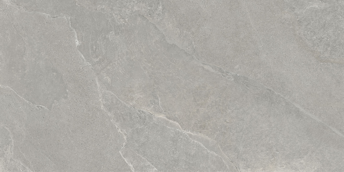 Ardestone Серый Матовый керамогранит 60x120см