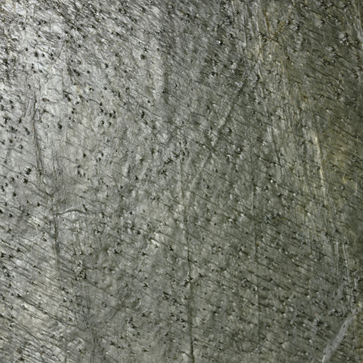 DELHI PULIDO натуральный камень, сланец 30X60X1,2