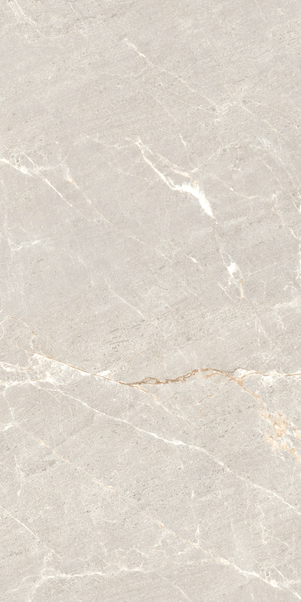Persian Grey Matt керамогранит 60x120