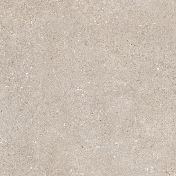Stone Palazzo Beige Matt керамогранит 60x120